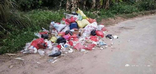 郑州甘蔗爆料事件始末最新消息,真相与争议交织的食品安全风波