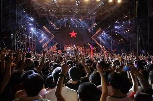 女子爆料参加音乐节原视频,揭秘现场幕后真相