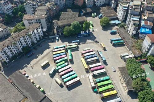 桂平最新爆料,揭秘神秘事件背后的惊人真相