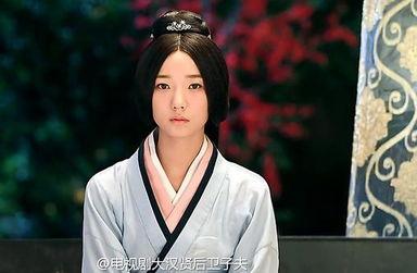 卫子夫在线观看,传奇皇后的一生