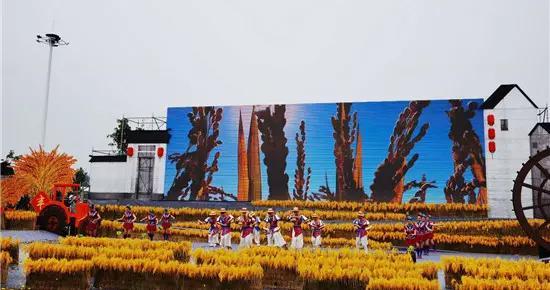 南京近期爆料新闻视频,揭秘某重大事件背后真相