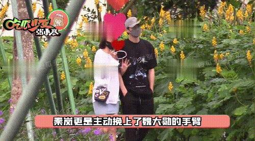 狗仔爆料富婆瓜视频大全,富婆瓜视频大全，揭秘娱乐圈幕后故事