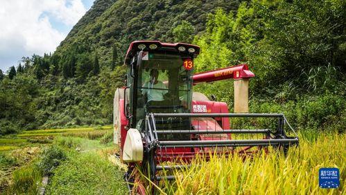 收割在线观看,揭秘农业科技新篇章