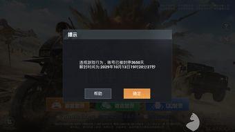 和平精英黑猫爆料视频,揭秘游戏新内容与更新动态