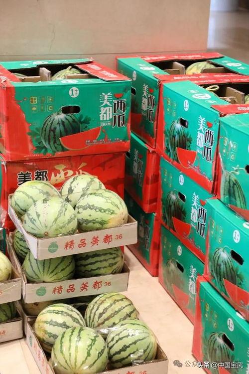 长春吃瓜最新事件爆料新闻