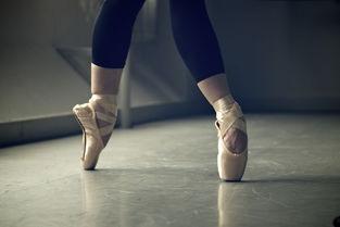 芭蕾舞鞋爆料视频大全图片,视频大全图片中的舞者风采与技巧解析