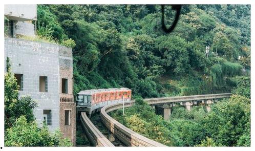 魔都小区爆料视频最新版,惊人真相曝光！