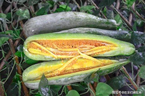 湖州网红吃瓜事件