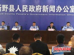 新野县新闻爆料,揭秘当地热点事件背后的真相