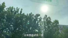 启明星爆料视频下载,揭秘幕后真相，带你走进事件核心