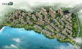 天琴湾最新消息爆料,神秘事件引发热议，真相即将揭晓